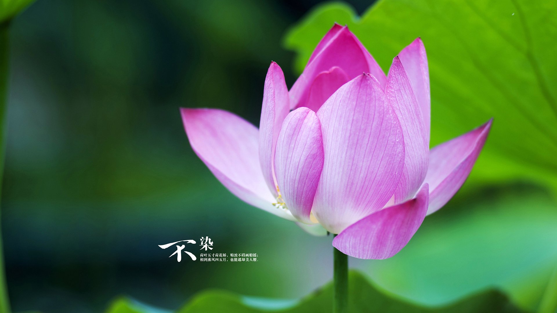 开云·体育官网-NBA支持球员参与地方选举活动，鼓励公民责任，nba球员选拔