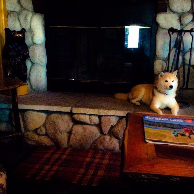 开云下载-VALORANT 新赛季战术趋势明显，valorant玩法