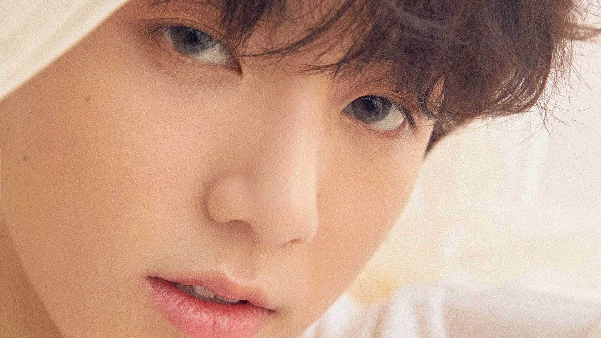 开云中国大陆-“法甲星光闪耀，球迷期待更多精彩”，法甲星星