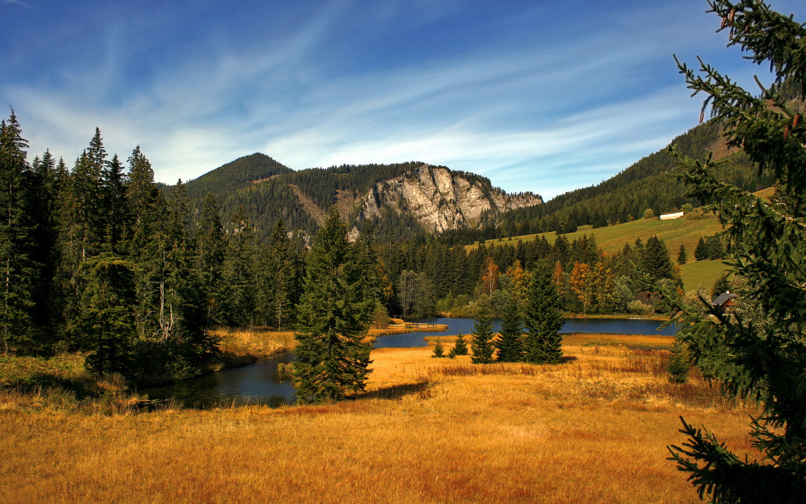 开云官方网站-【胜负关键】赛场上的进攻策略与防守艺术对决，进攻策略和防守策略