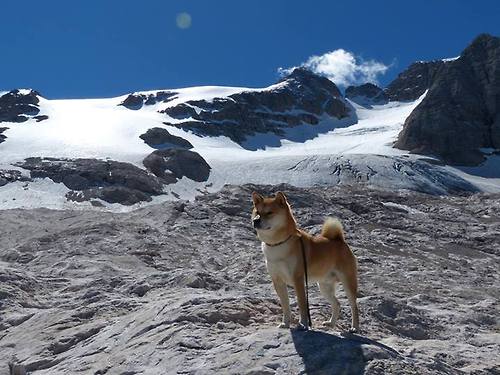 开云官网首页-国足前锋状态火爆，进球效率显著提升，国足前锋名单