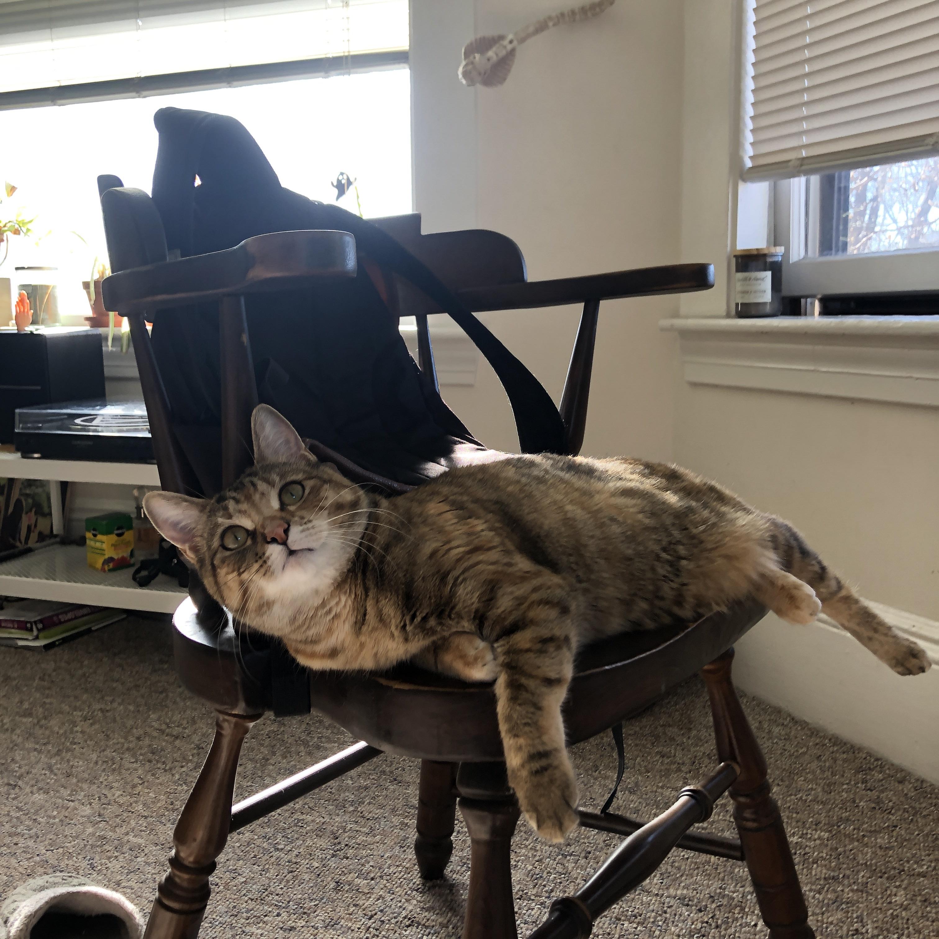 kaiyun网站-里昂主帅调整阵容，力图取得连胜，里昂换帅