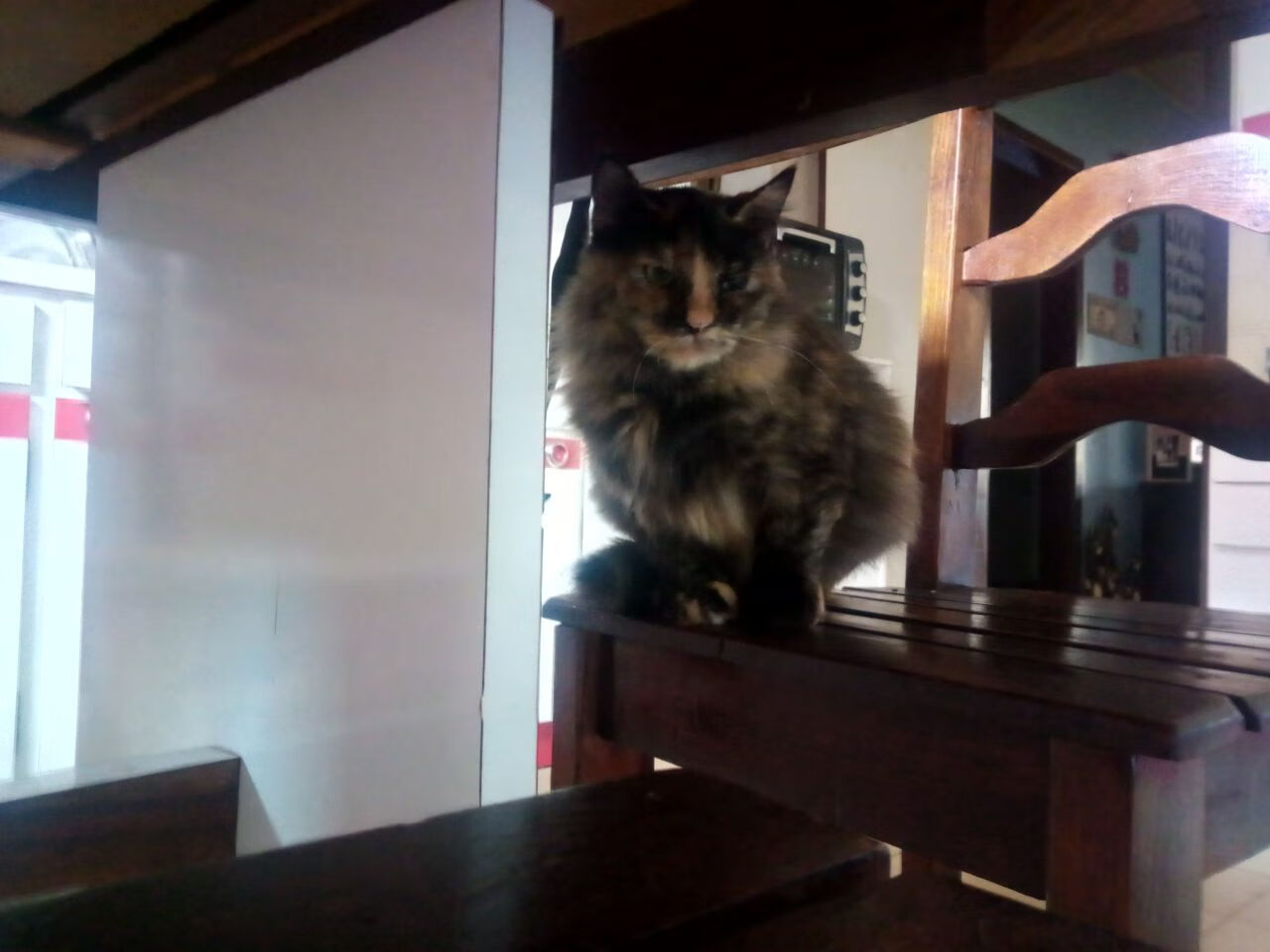 开云在线直播-“高新体育中心武术比赛：看选手如何在短短数秒间决胜负”