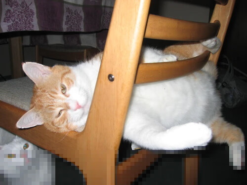 开云APP-足球运动走进乡村，助力农村地区青少年体育发展，村级足球场 乡村振兴