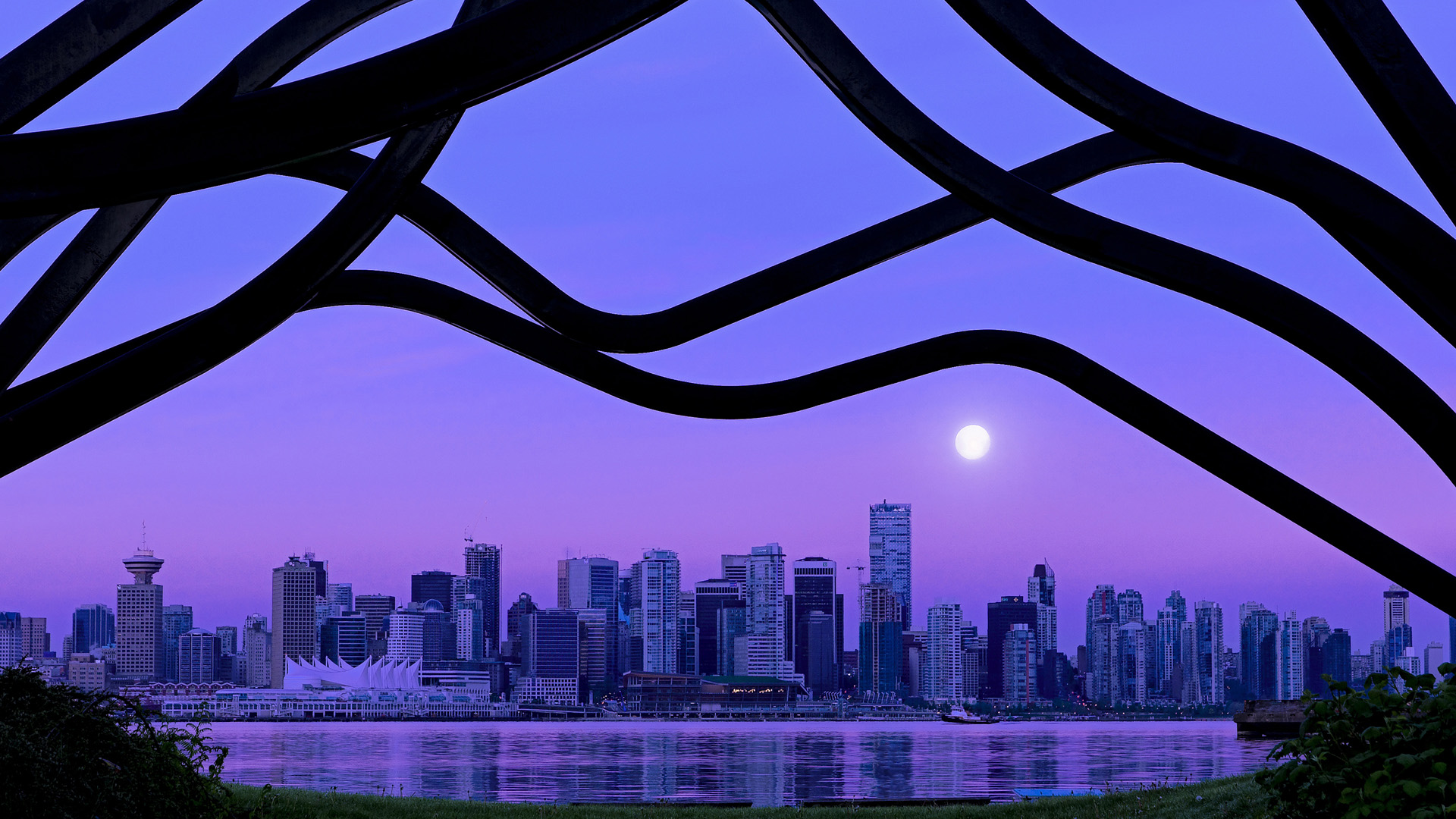 开云·Kaiyun网页版-陈艺文：目标直指巴黎奥运，陈艺文夺3米板金牌